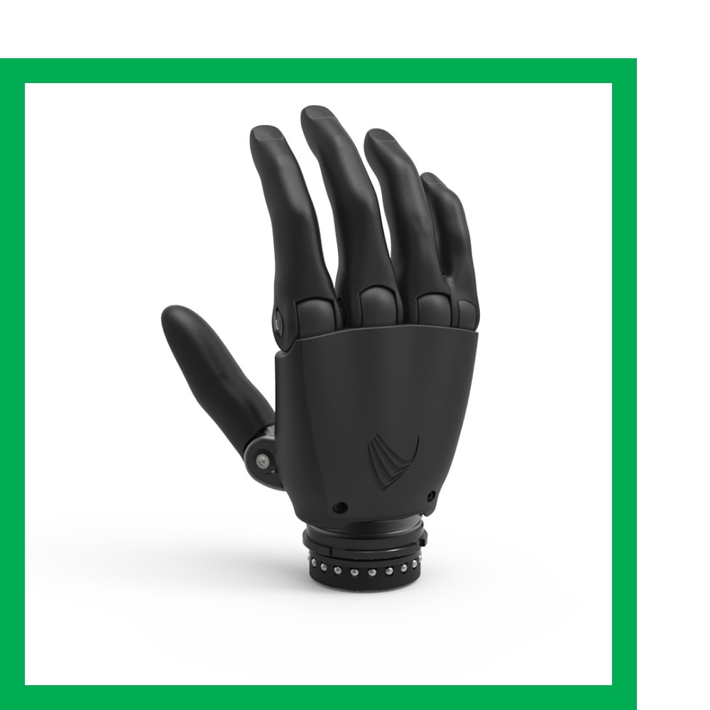 Basket of seasonal fruits and vegetables