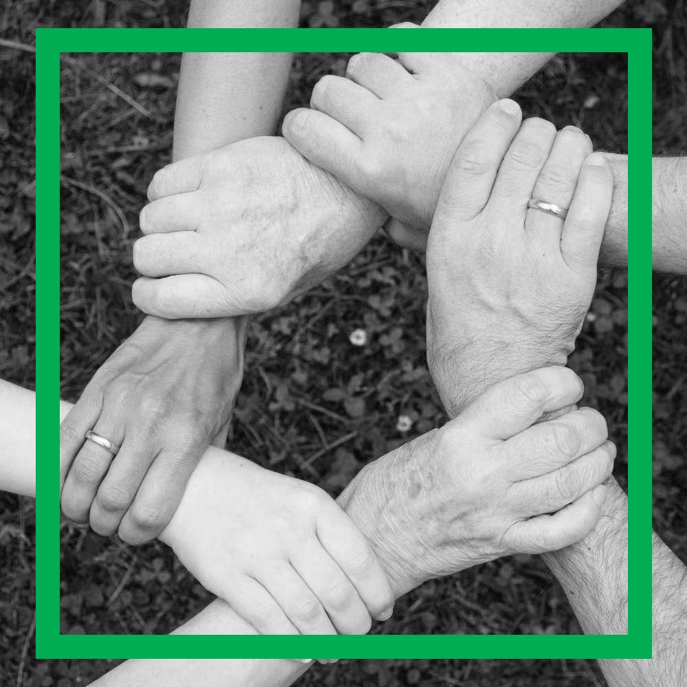 Basket of seasonal fruits and vegetables