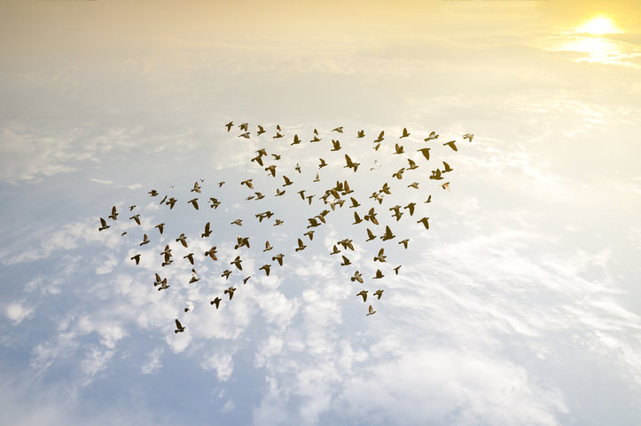 Flying and Progressing